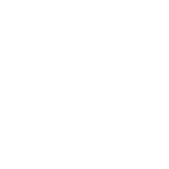 20241113010823322